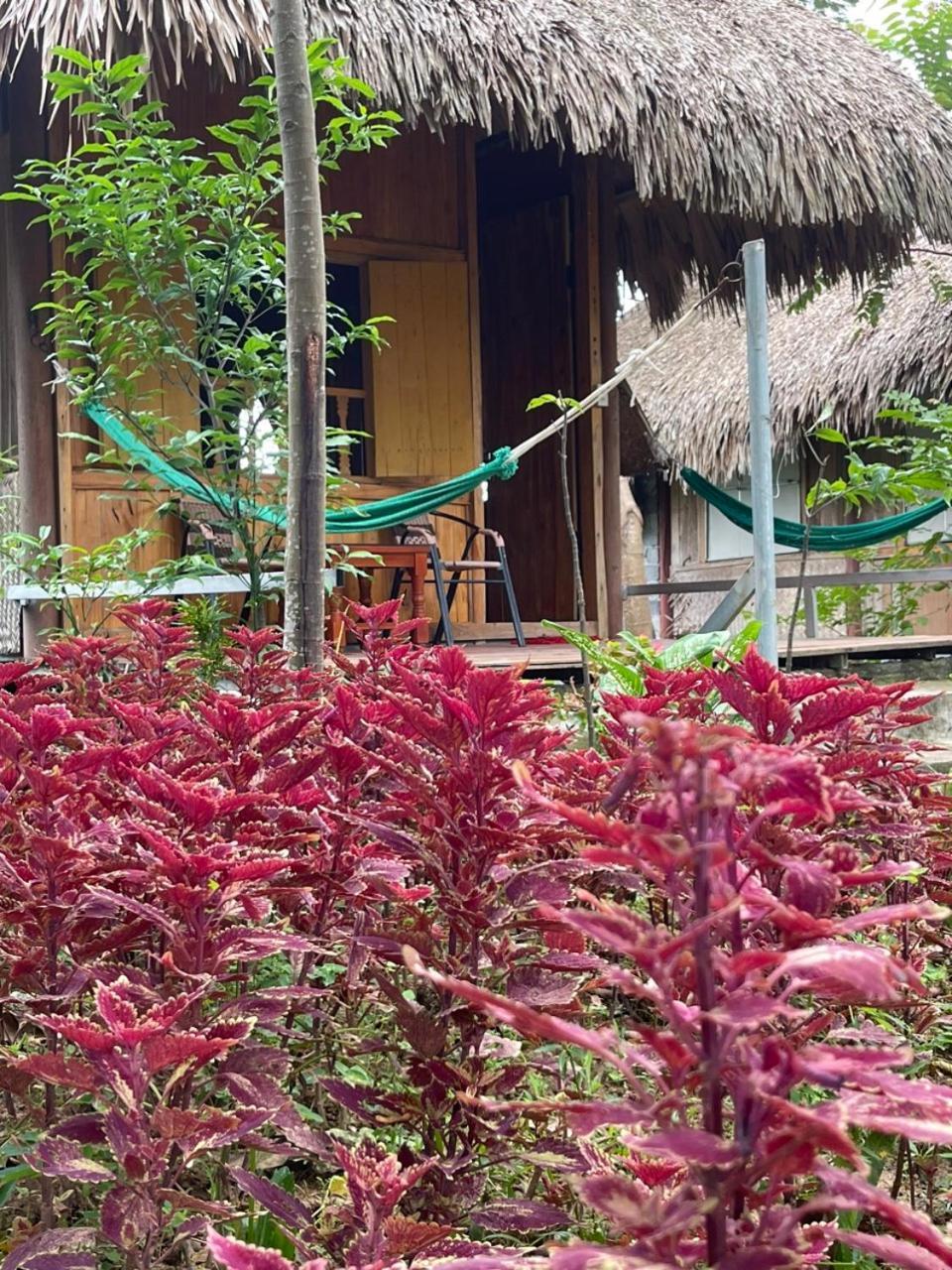 Cuc Phuong Bungalow Nho Quan Exterior foto